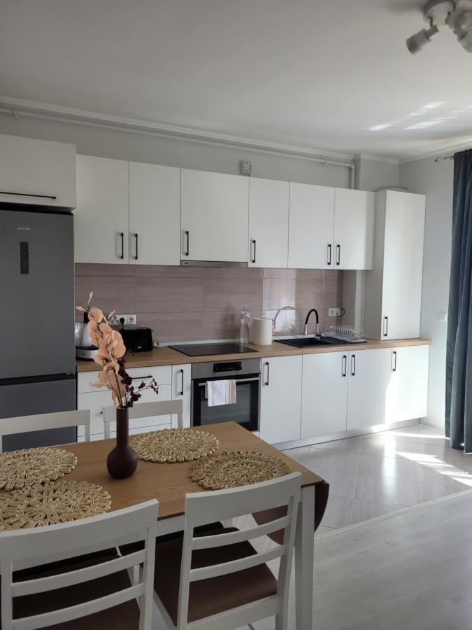 Amparo Apartment Satu Mare Exterior foto