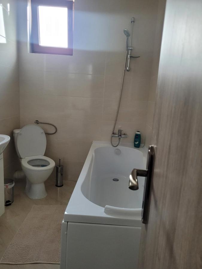Amparo Apartment Satu Mare Exterior foto