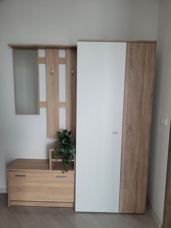 Amparo Apartment Satu Mare Exterior foto