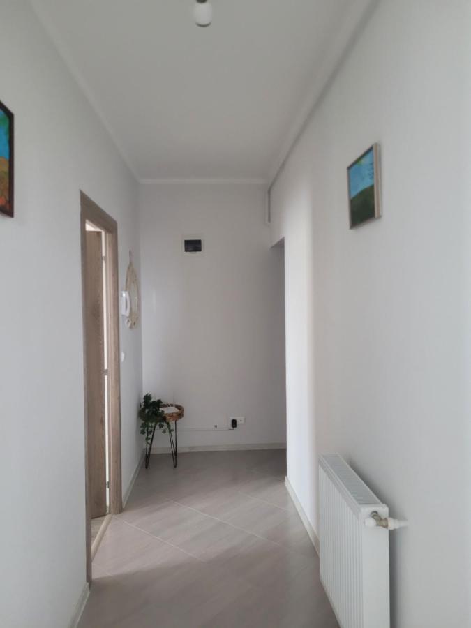 Amparo Apartment Satu Mare Exterior foto