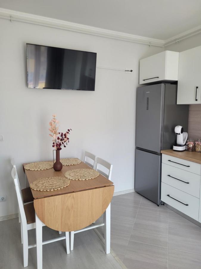 Amparo Apartment Satu Mare Exterior foto