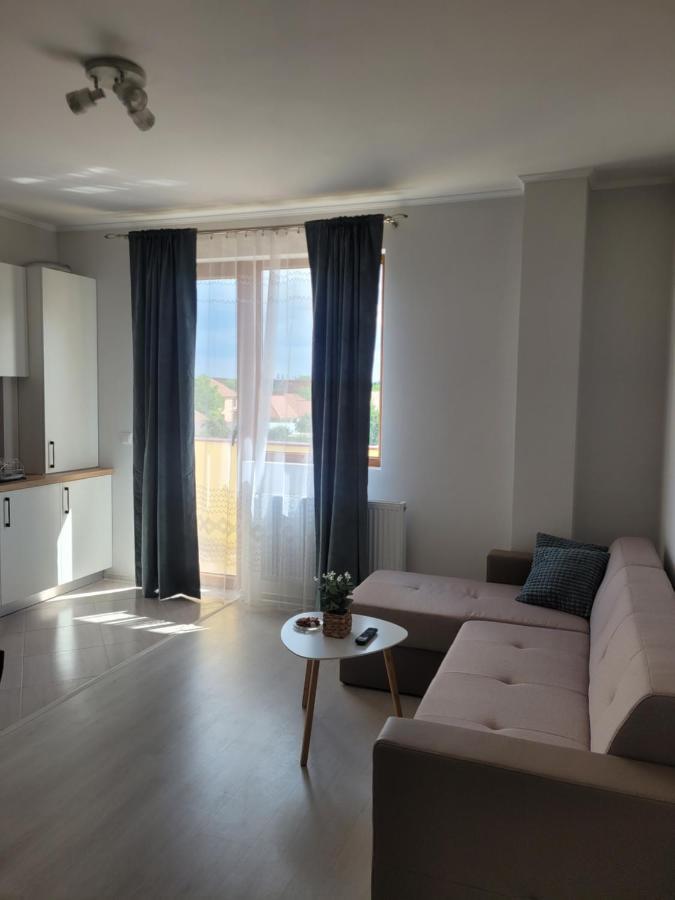 Amparo Apartment Satu Mare Exterior foto