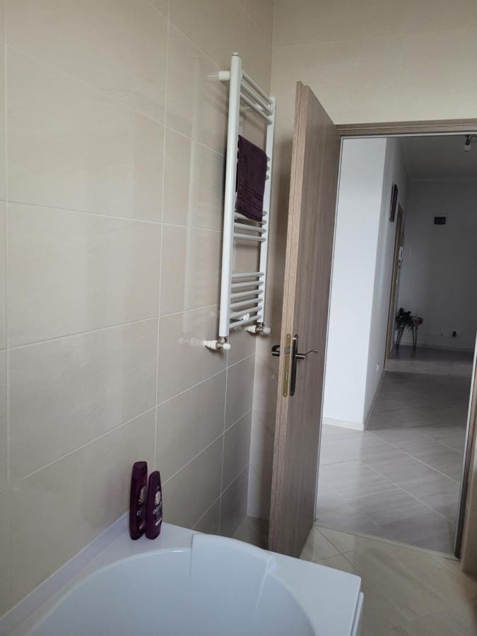 Amparo Apartment Satu Mare Exterior foto