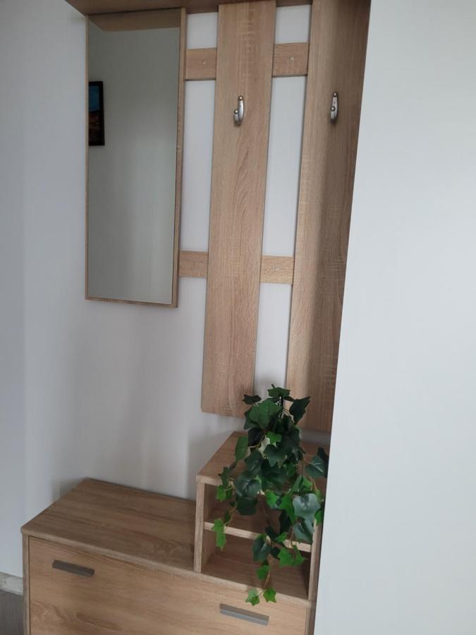 Amparo Apartment Satu Mare Exterior foto